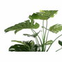 DKD Home Decor Planta Decorativa Costilla de Adán Verde y Negro 90x90x200 cm