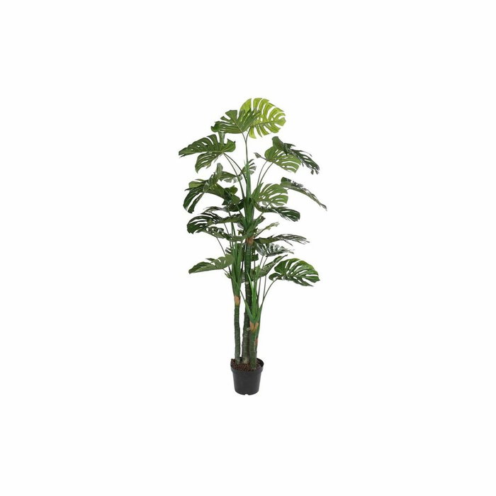 DKD Home Decor Planta Decorativa Costilla de Adán Verde y Negro 90x90x200 cm