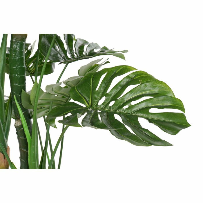 DKD Home Decor Planta Decorativa Costilla de Adán Verde y Negro 90x90x200 cm
