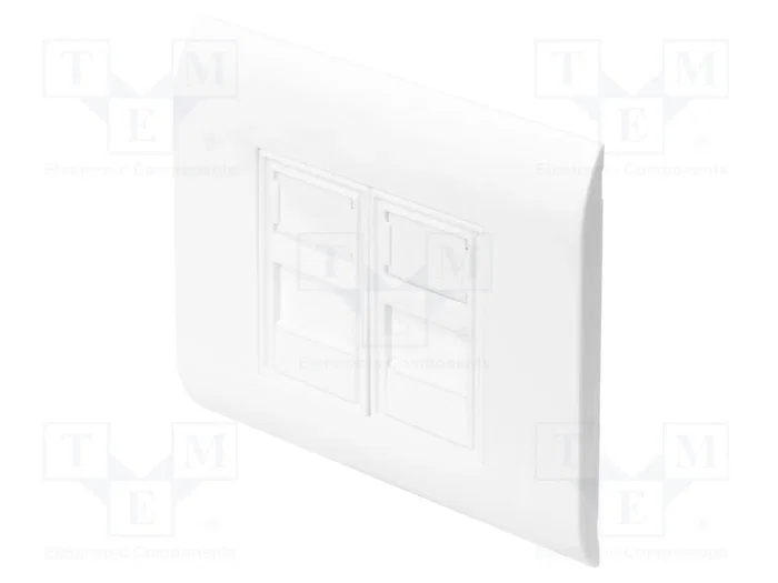ASSMAN/DIGITUS Toma de corriente para módulos Keystone 2x RJ45 Blanco ASSMAN/DIGITUS Toma de corriente para módulos Keystone 2x RJ45 Blanco