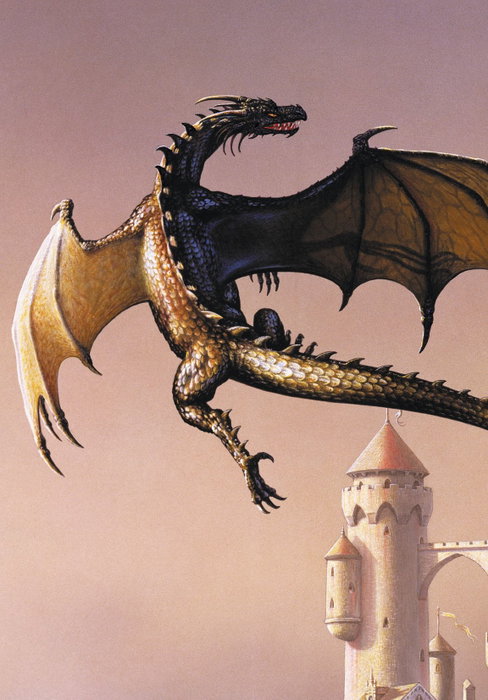Moztros Producciones S.L. EL LIBRO DEL DRAGON, CIRUELO - 2A EDICION
