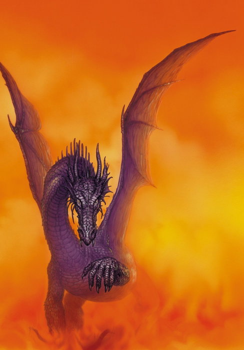 Moztros Producciones S.L. EL LIBRO DEL DRAGON, CIRUELO - 2A EDICION