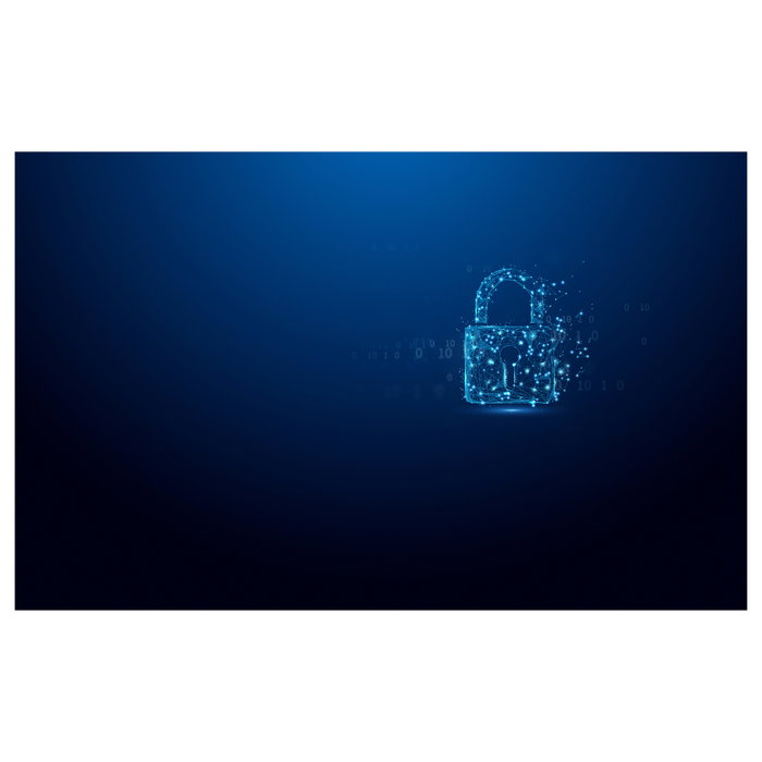 Kingston IronKey Vault Privacy 50 - Llavero USB cifrado hardware, 64 GB, IKV-P50/64GB