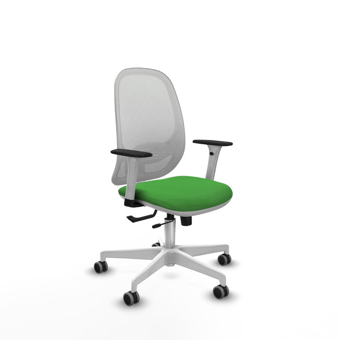 PIQUERAS Y CRESPO Silla de oficina Cilanco con mecanismo Sincro/Traslack, Verde y Blanco PIQUERAS Y CRESPO Silla de oficina Cilanco con mecanismo Sincro/Traslack, Verde y Blanco