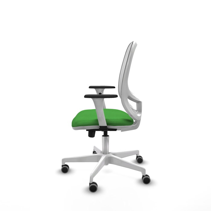 PIQUERAS Y CRESPO Silla de oficina Cilanco con mecanismo Sincro/Traslack, Verde y Blanco PIQUERAS Y CRESPO Silla de oficina Cilanco con mecanismo Sincro/Traslack, Verde y Blanco