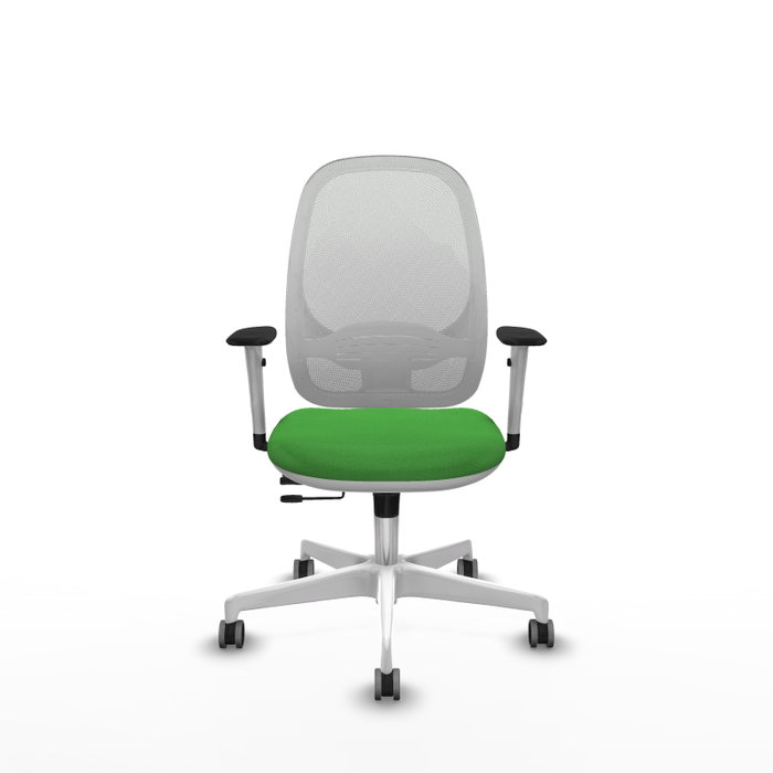 PIQUERAS Y CRESPO Silla de oficina Cilanco con mecanismo Sincro/Traslack, Verde y Blanco PIQUERAS Y CRESPO Silla de oficina Cilanco con mecanismo Sincro/Traslack, Verde y Blanco