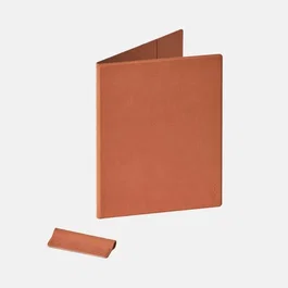 Boox Go 10.3 Genii MagCase Orange