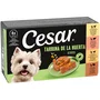Cesar Multipack Selección de la Huerta Caja 6x4x150g