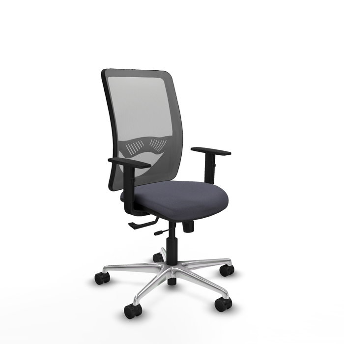 PIQUERAS Y CRESPO Silla de oficina Zulema con mecanismo Sincro/Traslack, Gris PIQUERAS Y CRESPO Silla de oficina Zulema con mecanismo Sincro/Traslack, Gris