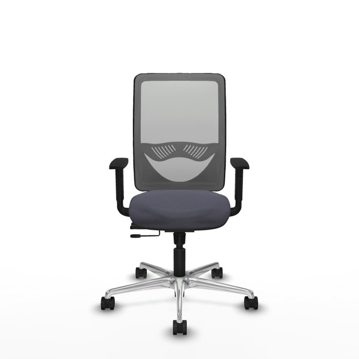 PIQUERAS Y CRESPO Silla de oficina Zulema con mecanismo Sincro/Traslack, Gris PIQUERAS Y CRESPO Silla de oficina Zulema con mecanismo Sincro/Traslack, Gris