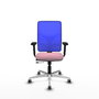 PIQUERAS Y CRESPO Silla de oficina Motilla Rosa/Azul con mecanismo Sincro/Traslack