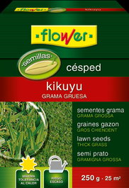 Semilla de césped grama Kikuyu 250g