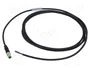 MURRELEKTRONIK Cable para sensores M8 macho recto 2m