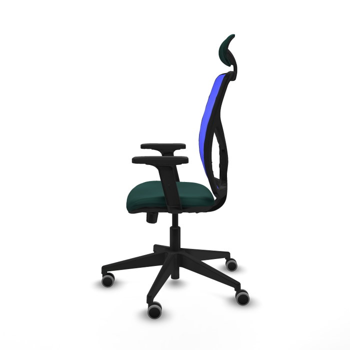 PIQUERAS Y CRESPO Silla de oficina Motilla con mecanismo Sincro/Traslack, Verde botella y Azul PIQUERAS Y CRESPO Silla de oficina Motilla con mecanismo Sincro/Traslack, Verde botella y Azul