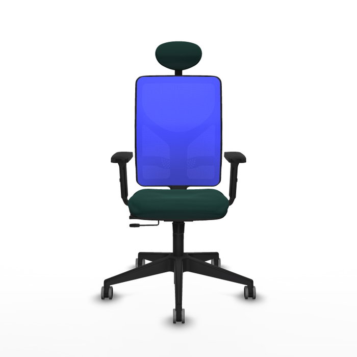 PIQUERAS Y CRESPO Silla de oficina Motilla con mecanismo Sincro/Traslack, Verde botella y Azul PIQUERAS Y CRESPO Silla de oficina Motilla con mecanismo Sincro/Traslack, Verde botella y Azul
