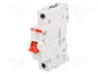 ABB SD200 Interruptor de aislamiento 63A 253VAC 1 polo