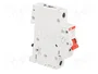 ABB SD200 Interruptor de aislamiento 63A 253VAC 1 polo