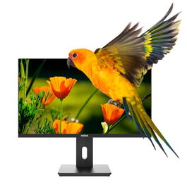 Nilox NXM24REG02 - Monitor Gaming/Ofimática 23.8" Full HD (1920x1080), 75Hz, Panel VA, 4ms, Base Giratoria Ajustable (VGA, HDMI, DisplayPort), Altavoces