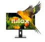 Nilox NXM24REG02 Monitor de PC LED 24" FHD 1920x1080, Panel VA, 75Hz, 4ms, Base Giratoria/Ajustable, HDMI, DP, VGA, Negro