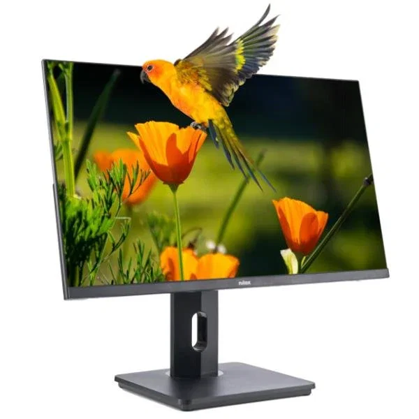 Nilox NXM24REG02 Monitor de PC LED 24" FHD 1920x1080, Panel VA, 75Hz, 4ms, Base Giratoria/Ajustable, HDMI, DP, VGA, Negro