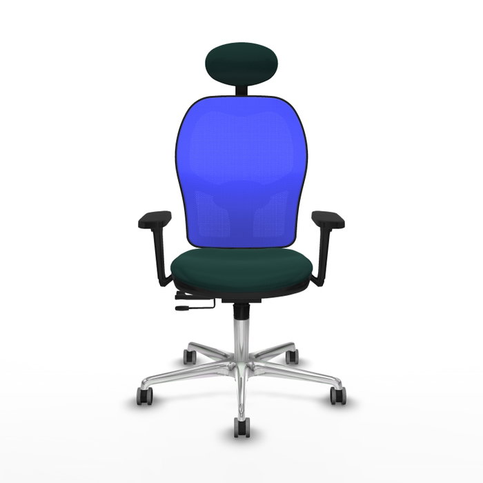 PIQUERAS Y CRESPO Silla de oficina Jorquera Verde botella y Azul