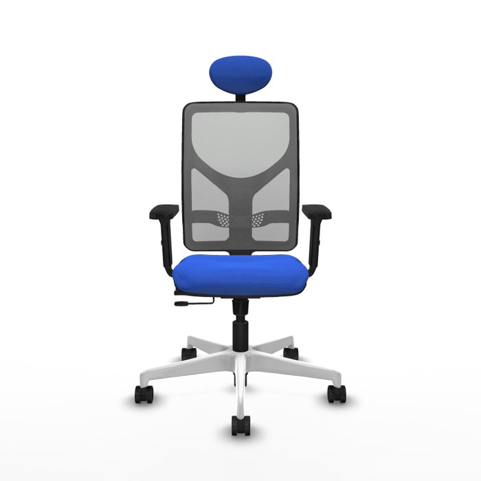 PIQUERAS Y CRESPO Silla de oficina Motilla con mecanismo Sincro/Traslack, Tela Azul y Malla Gris