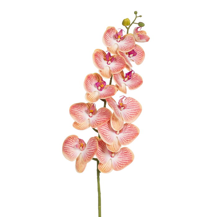 Flor Orquídea Azul Tejido Decoración 107 cm (Set de 6)