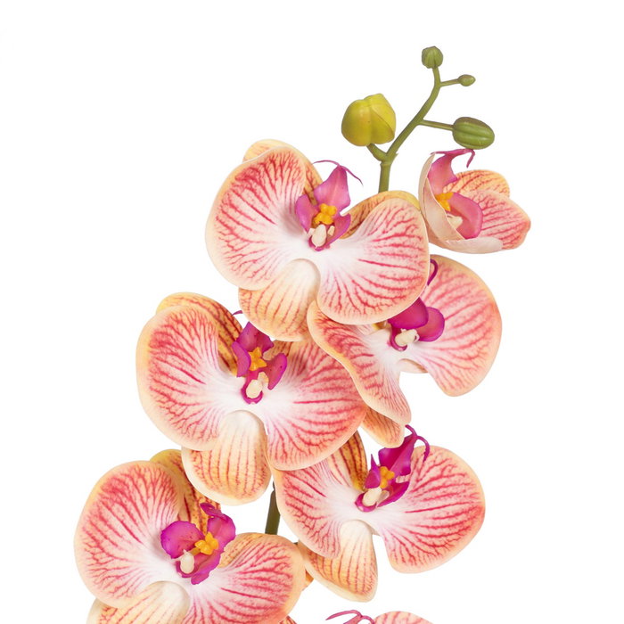 Flor Orquídea Azul Tejido Decoración 107 cm (Set de 6)