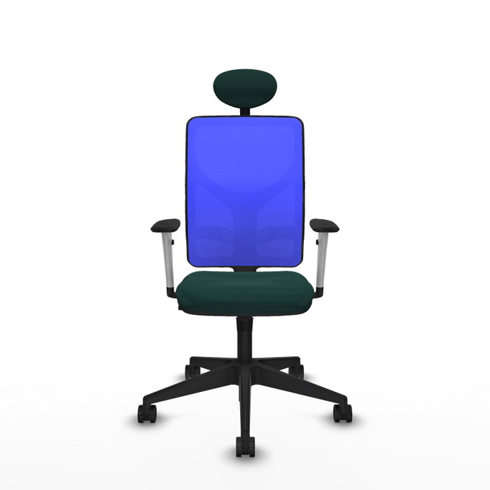 PIQUERAS Y CRESPO Silla de oficina Motilla con mecanismo Sincro, Verde botella y Azul PIQUERAS Y CRESPO Silla de oficina Motilla con mecanismo Sincro, Verde botella y Azul