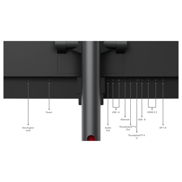 Lenovo ThinkVision P49w-30 Monitor 49" 5120x1440 DQHD IPS