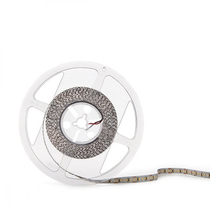 Tira LED SMD3014 204 LEDs/m 105W Blanco Frío 24VDC 5m IP20 CRI90