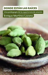 Donde están las raíces, Enrique Martínez - NARCEA