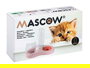 Mascow Comedero para Gatos, Bebedero de Plástico, Blanco/Azul/Rosa Surtidos, 29 x 20.5 x 16 cm, 500 ml (Set de 12)