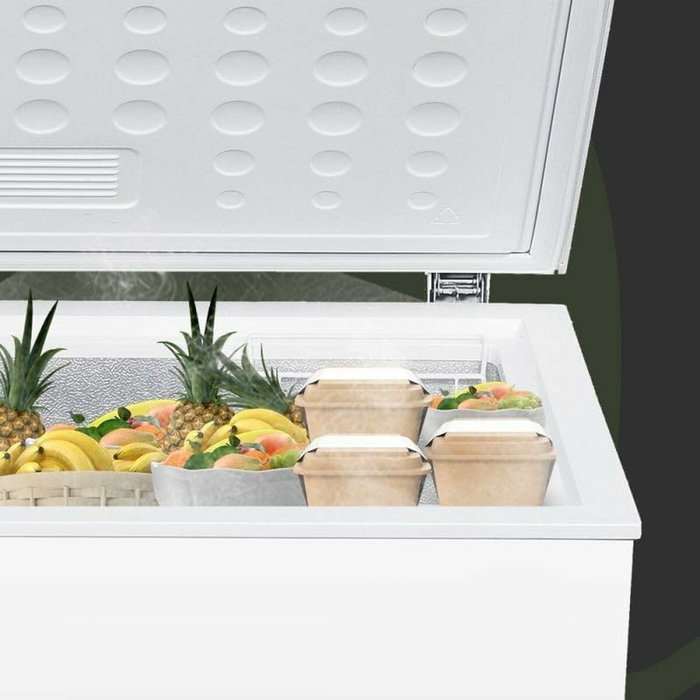 Congelador Aspes ACH2002EDC