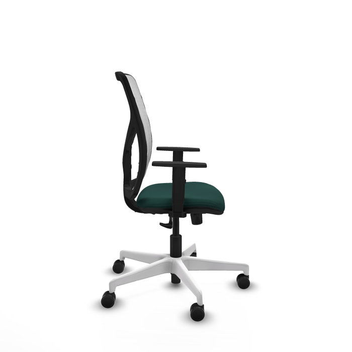 PIQUERAS Y CRESPO Silla de oficina Motilla con mecanismo Sincro, Verde botella y Blanco PIQUERAS Y CRESPO Silla de oficina Motilla con mecanismo Sincro, Verde botella y Blanco