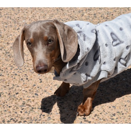 Nayeco Sudadera Perro Amour Gris Capucha Ajustable Suave Cómoda 20 cm