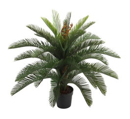 DKD Home Decor Planta Cycas Verde 80x80x100 cm