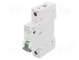 SIEMENS 5SL6125-6 Interruptor magnetotérmico 25A 1P Caract B