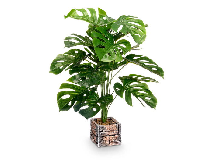 Ibergarden Maceta Cuadrada Planta Hoja Costilla Verde 39x75x35 cm (Set de 4)