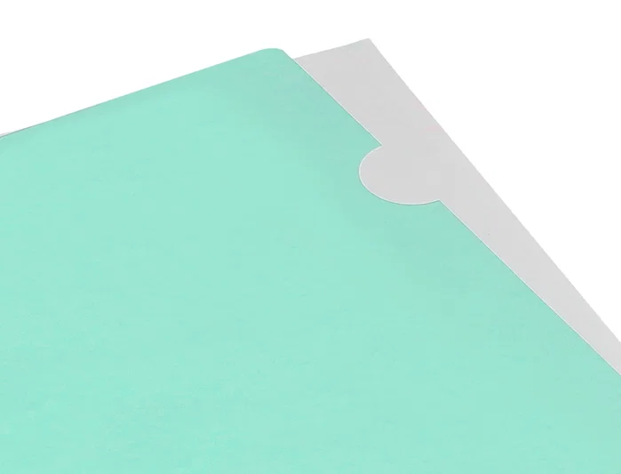 Liderpapel Carpeta dossier con uñero verde manzana opaco A4 Liderpapel Carpeta dossier con uñero verde manzana opaco A4