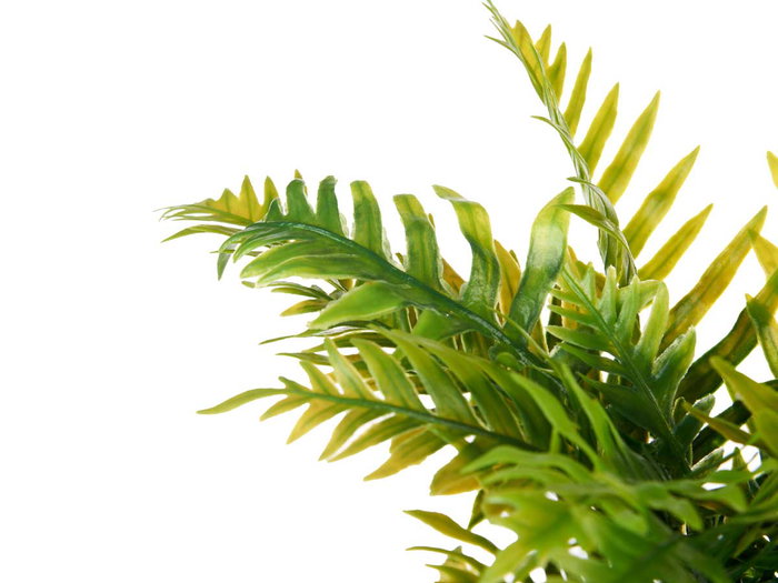 Ibergarden Maceta Cemento Grande Palmera Verde 22 cm x 40 cm x 22 cm (Set de 6)