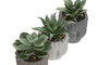 DKD Home Decor Planta Cemento Buda Surtida