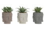 DKD Home Decor Planta Cemento Buda Surtida
