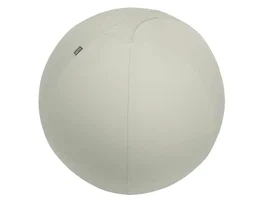Leitz Active Balón de Asiento 75 cm Antideslizante Gris - Silla Ergonómica con Función de Tope