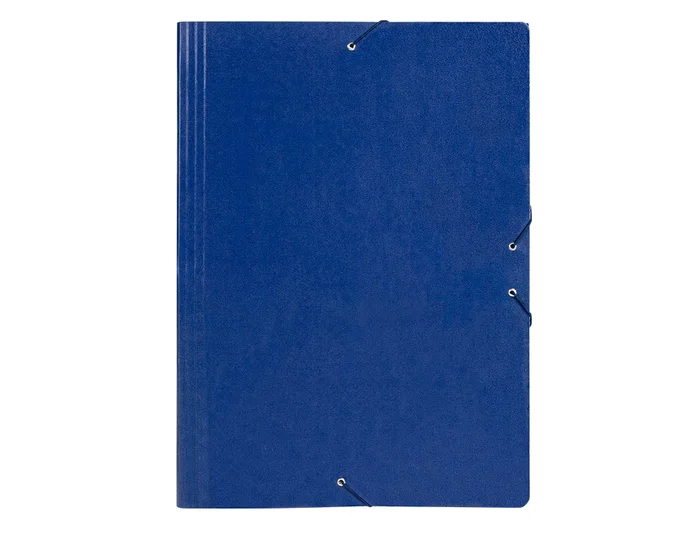 Liderpapel Carpeta para planos A2 cartón gofrado azul n 12 Liderpapel Carpeta para planos A2 cartón gofrado azul n 12