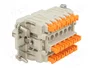 ILME Conector HDC hembra CDSH 18 pines