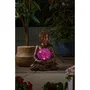 Smart Garden Globo Terráqueo con Buda SMA5050642089005