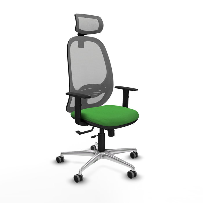 PIQUERAS Y CRESPO Silla de oficina Cilanco con mecanismo Sincro/Traslack Verde y Gris PIQUERAS Y CRESPO Silla de oficina Cilanco con mecanismo Sincro/Traslack Verde y Gris