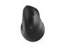 Natec Crake 2 Ratón Vertical Inalámbrico Negro
