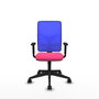 PIQUERAS Y CRESPO Silla de oficina Motilla con mecanismo Sincro, Rosa y Azul